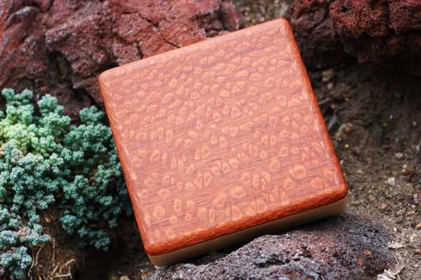 Performer Series- Lacewood Alto Box (~4.0" x 4.0" x 1.0")