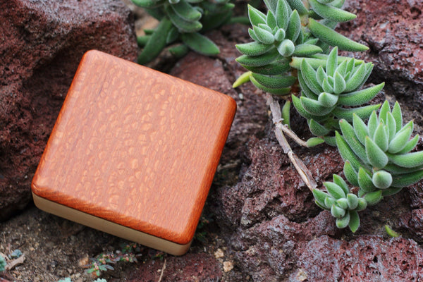 Performer Series- Lacewood Soprano Box (~3.5" x 3.5" x 1.0")