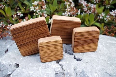 The Zebra Box Shakers Complete - with a Free Case!