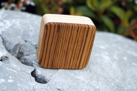 Performer Series- Zebra Pixie Box Shaker (~2.5" x 2.5" x 1.0")