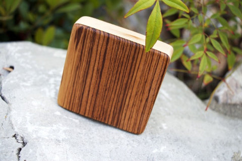 Performer Series- Zebra Soprano Box Shaker (~3.5" x 3.5" x 1.0")