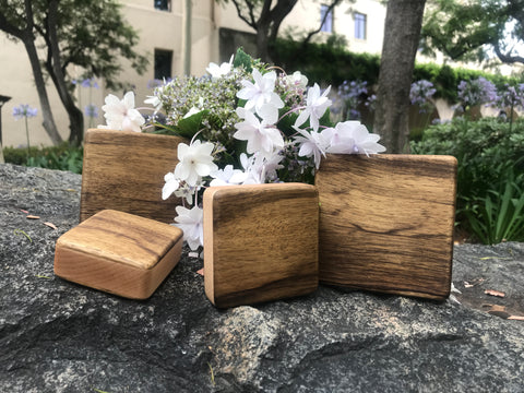 The Black Limba Box Shakers Complete - with a Free Case!